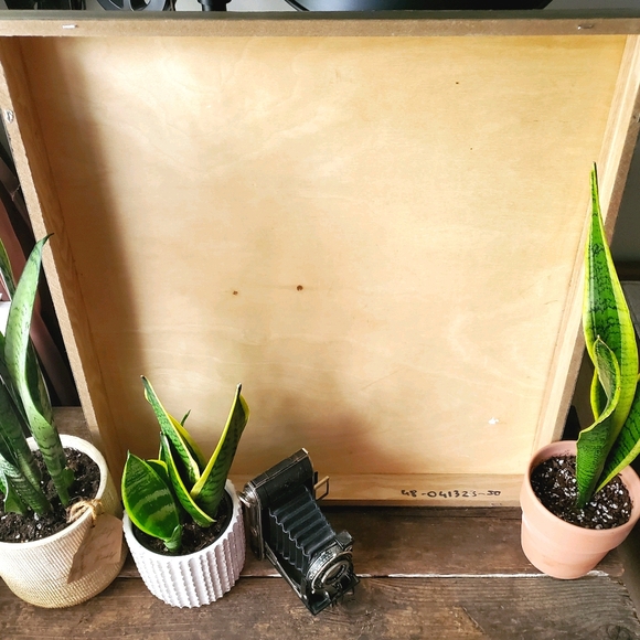 Rustic Wood Plank "Welcome Home" Sign 🏡 - Picture 6 of 6